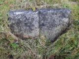 image of grave number 913477